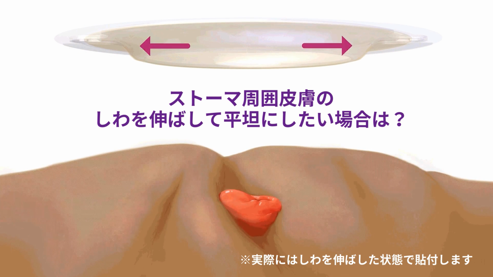 テキスト