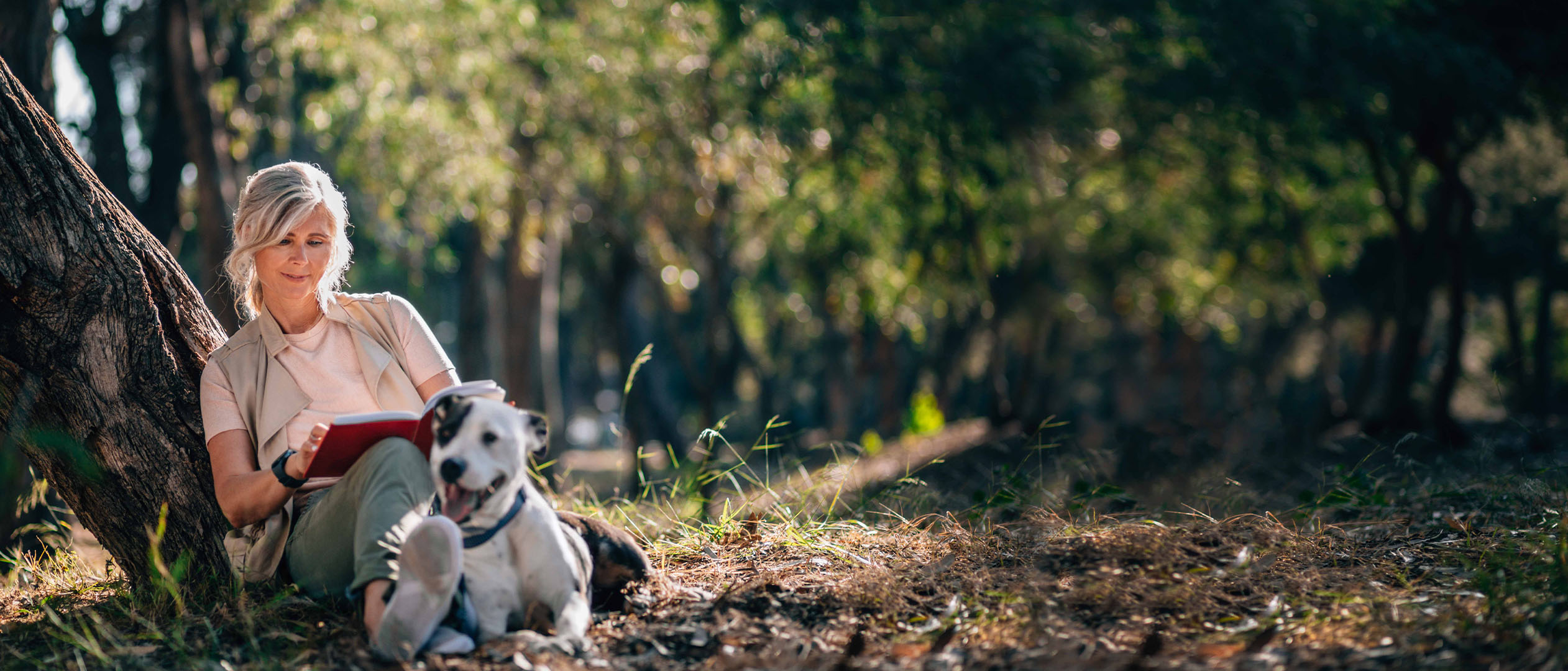 una donna seduta nel bosco con un cane