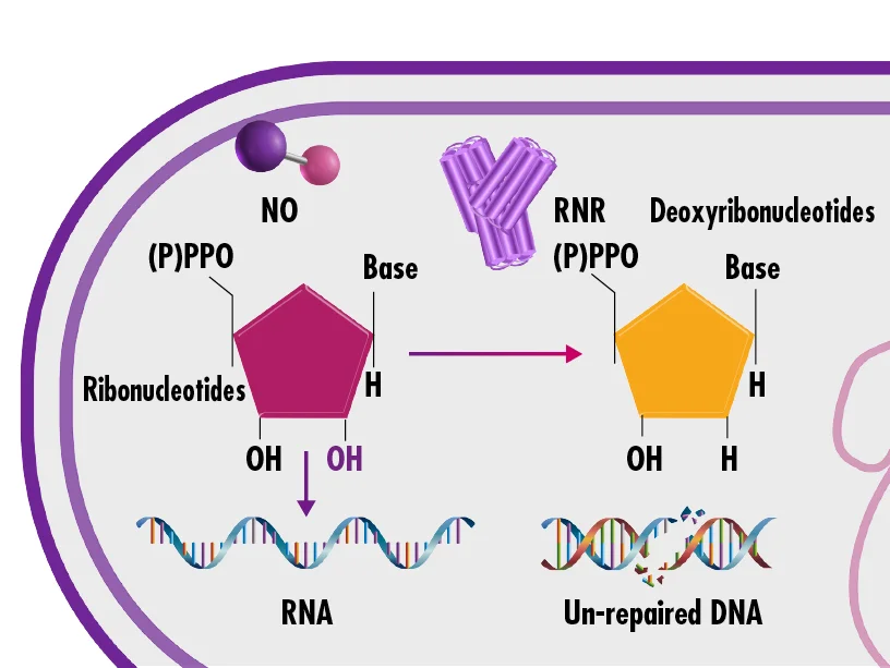 diagrama