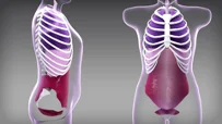 Um vídeo sobre técnicas para minimizar o risco de hérnia parastomal através do controle da pressão intra-abdominal.