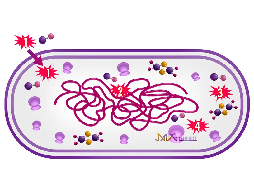 Un colorido juego de rompecabezas