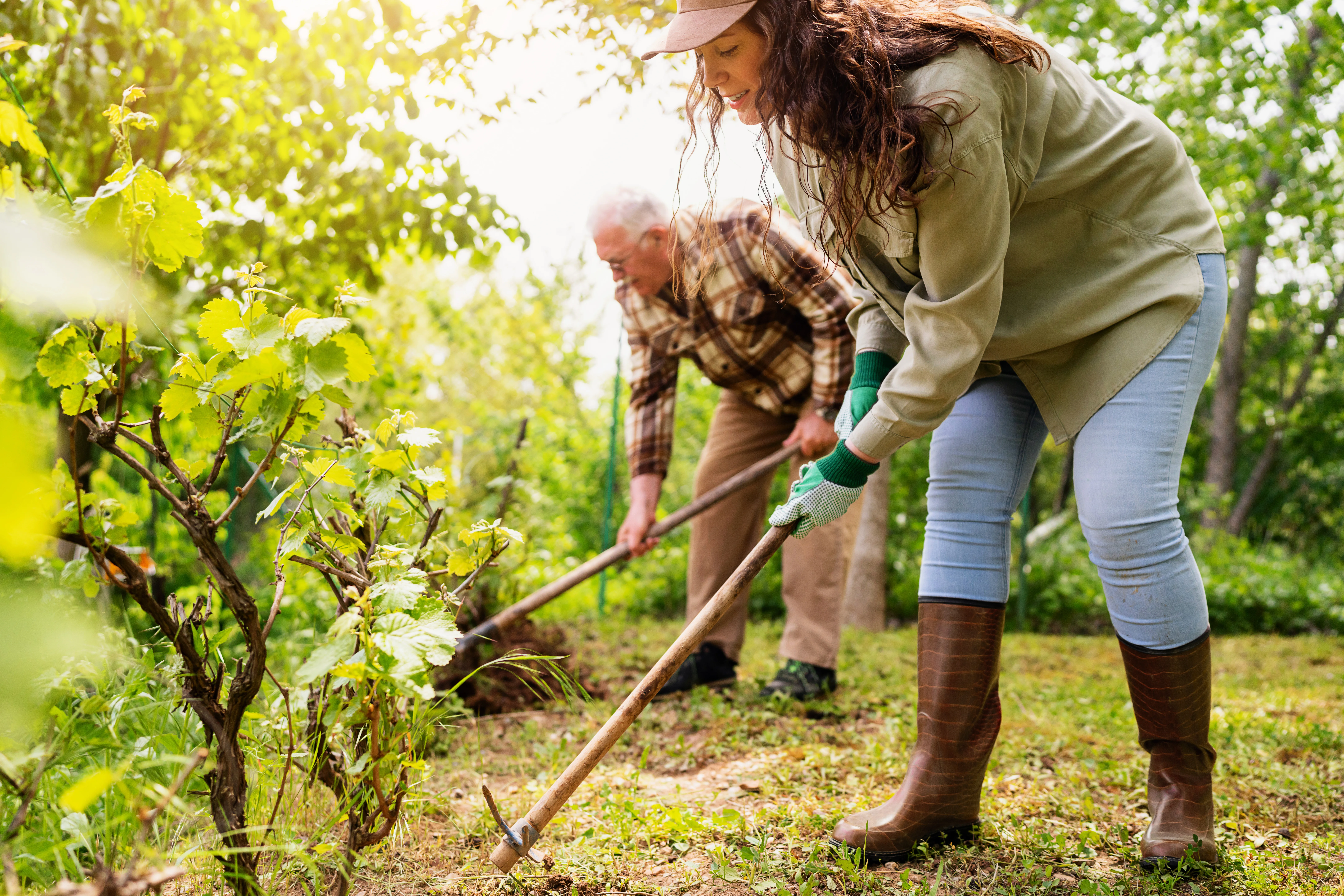a woman and a man gardening